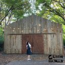 웨딩스위치 이미지