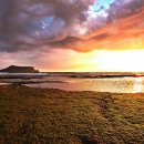 기억되는 날 이미지