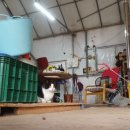 덕수농장 이미지