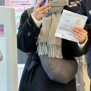 현대할인백화점 | 르메르 크루아상백 범백 스몰 다크초코 스몰 소가죽 후기, 현대백화점 카드할인