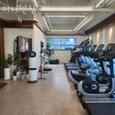 어니언짐 이미지