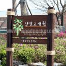 서울양천초등학교