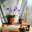 창석농장 이미지