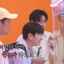 코쿤 이미지