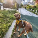 에니펫동물병원 이미지