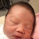 정민목장 | 제왕절개 후기와 신생아 한달 분유량 분유 갈아타기 방법 추천