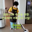 산모피아 이미지