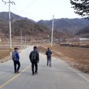월천리 경로당 Daum카페