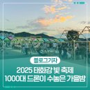 태화강 빛 축제 | 2025 태화강 빛 축제, 1000대 드론이 수놓은 가을밤