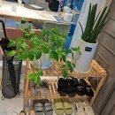 컬러하우스 광교점 이미지