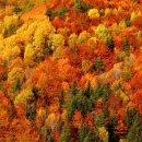 세인치과의원 이미지