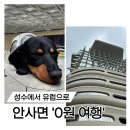 진즈네일 | 하우스노웨어 서울 - 단돈 ‘1,550원’으로 즐기는 해외여행 감성