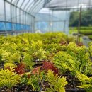 수림목장 이미지