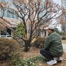 세이브트리엑스퍼트 이미지