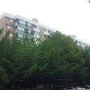 강남-204 이미지