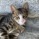 (주)우연컴퍼니 이미지