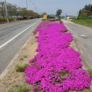 덕산보건진료소 이미지