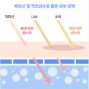 워터뱅크 | 여름철 자외선 차단은 선택이 아닌 필수! 라네즈 워터뱅크 UV 베리어 선크림 사용 후기