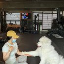 바카티오PT 성북천점 이미지