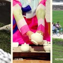 평사드레 이미지