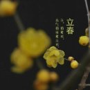 탄넨바움 이미지