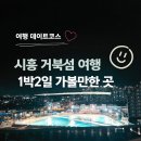 서울투어리스트호텔 | 시흥 거북섬 여행 | 내돈내산 데이트코스 1박2일 가볼만한 곳
