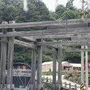 [경기/포천] 계곡이 있는 숲속 캠핑장 &#34;엉클킴스캠핑장&#34; 포레스트존 캠핑 후기