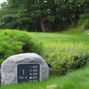 웰리힐리 컨트리클럽 이미지