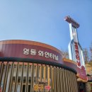9월 10월 충북 영동 가볼만한곳 와인터널.월류봉 대한민국와인축제 2025 기본정보 가수 추천