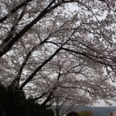 공룡 당구장 이미지