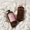 블랑쉬에 이미지