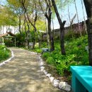 원주허브팜식물박물관 이미지