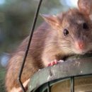 민원버스정류장 이미지