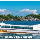 코랄