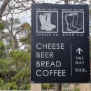 브루니컴퍼니 이미지