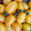 소원농장 이미지