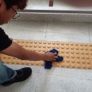 염작초등학교 이미지