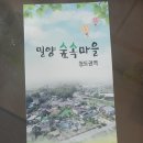 밀양 숲속마을 | 밀양 아이와 가볼 만한 곳, 밀양숲속마을 물놀이장