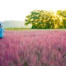 강변장여관 이미지