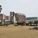 송이슈퍼 이미지