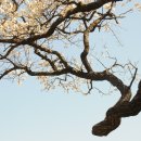 김해건설공업고등학교 이미지