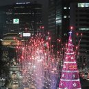 서울에도 쌍무지개가 뜬다 이미지