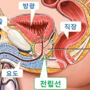 늙어서는 더 고운 마음으로 살기 이미지