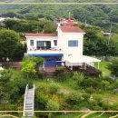 컴투펫 위탁보호센터 이미지