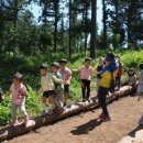 [일등방송] 장흥군-한국 숲 유치원협회, 유아 숲 교육 활성화 위해 MOU 이미지