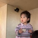 로레브 네이버블로그