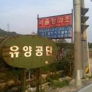 유양1통 Daum카페