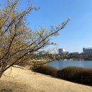 구르미식당 | 일산 상견례 면가일세(곡진A코스) & 첫 인사 선물 구르미떡케이크 후기(내돈내산)