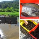 개울가 민박 이미지