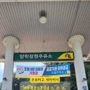 장현주유소 네이버블로그